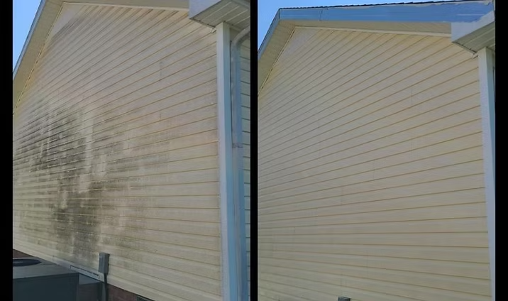 Before-and-after soft wash on vinyl siding, removing a large mildew patch and restoring the siding color.